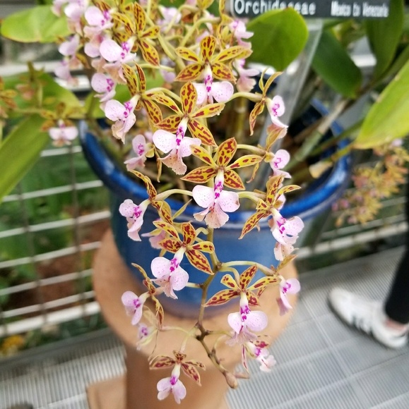 gail2307